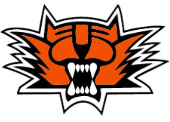 Tiger Football Sweatpants