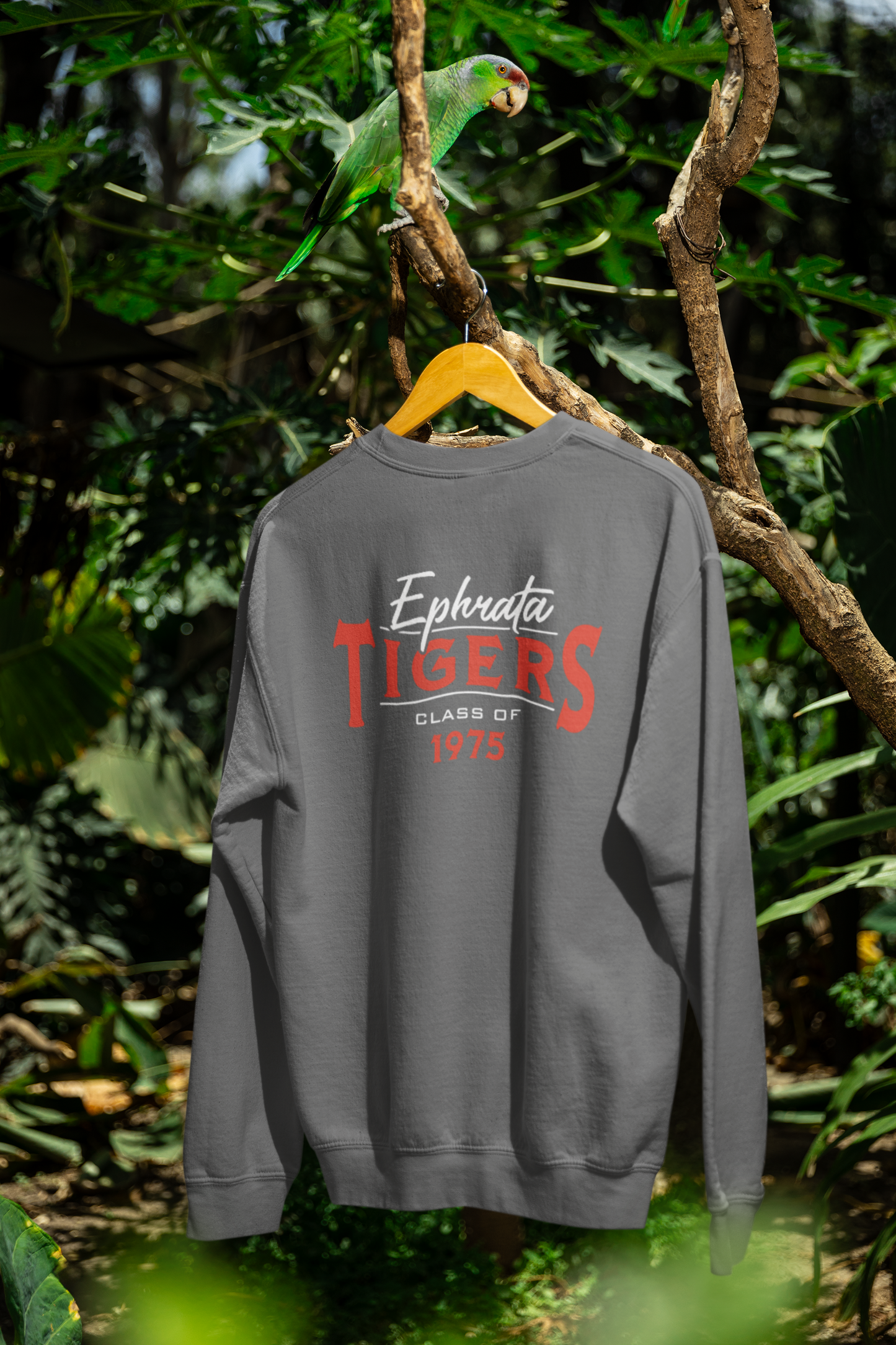Class of 1975 Crew Sweatshirt