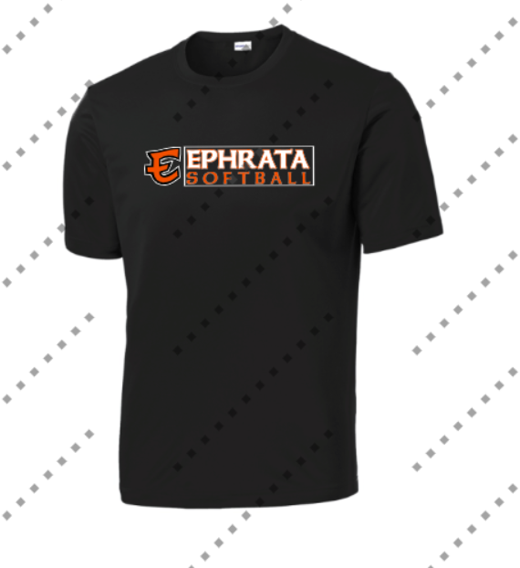Softball 2025 Practice Shirt
