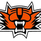 Tiger Football Sweatpants