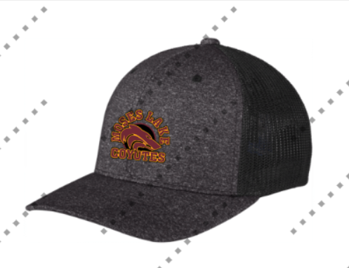 ML Coyotes Stretch Fit Hat